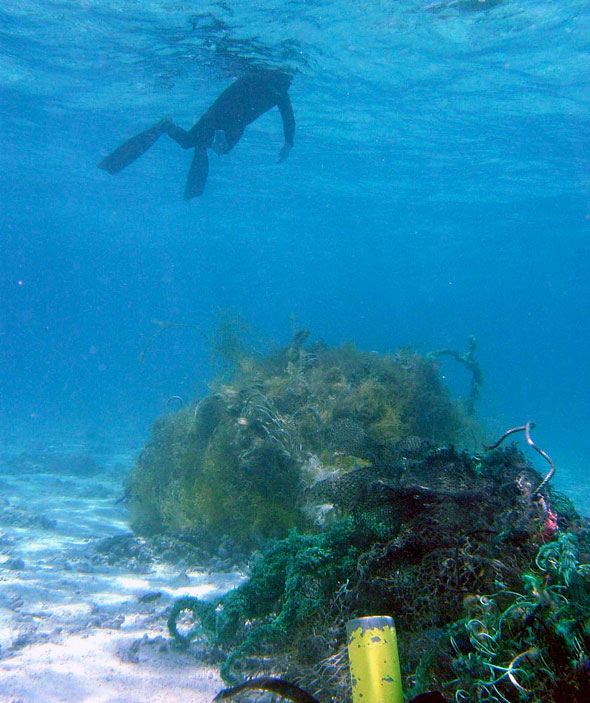 Marine debris accumulation